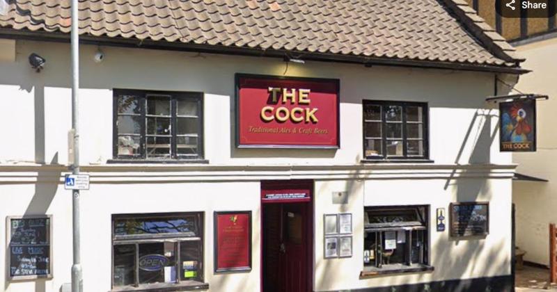 Pub hosting Christmas carols with a twist... as dogs are invited too!