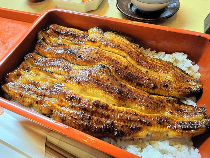 VOX POPULI: International ruling on eel trade is good news for Japan
