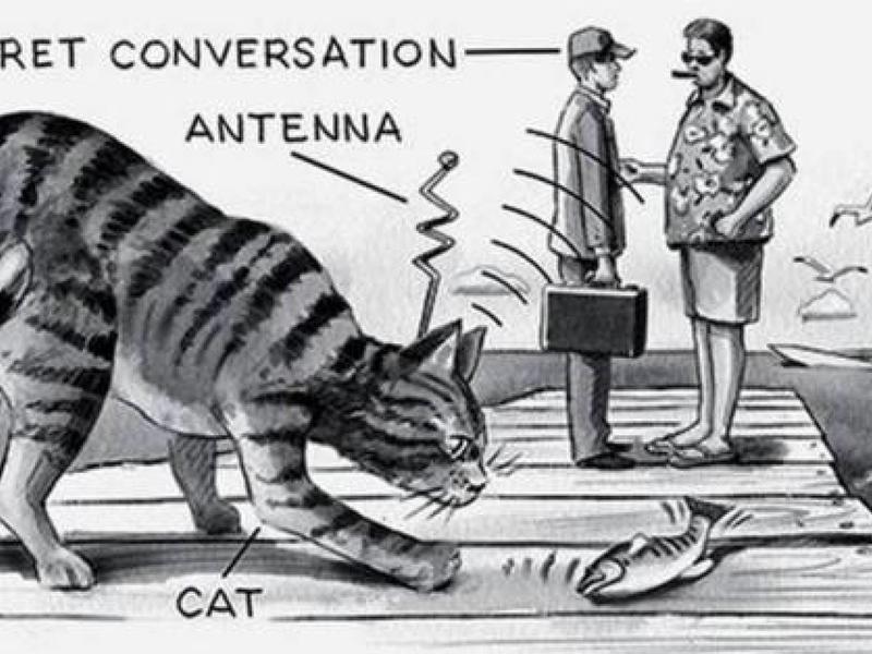 I gatti spia dell'intelligence americana: un triste fallimento