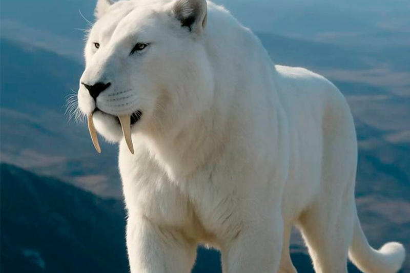 La piel del tigre, por Alexander Cambero