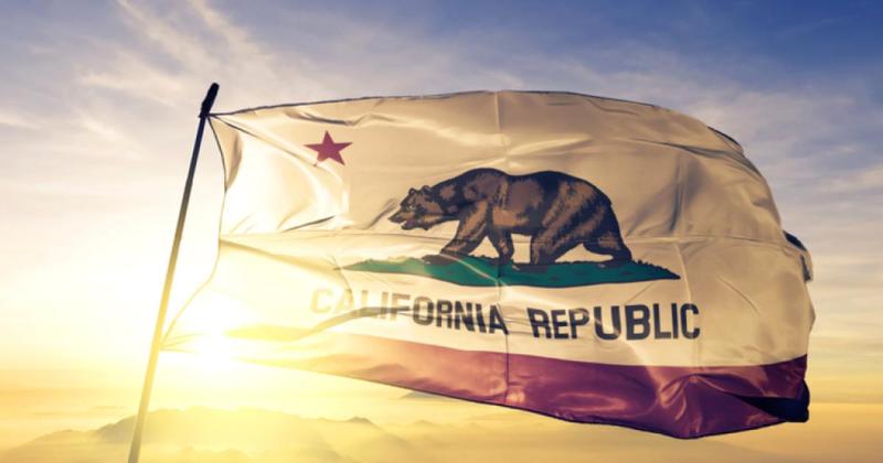 California in 2025: Another Bad Year of Governance California in 2025: Another Bad Year of Governance