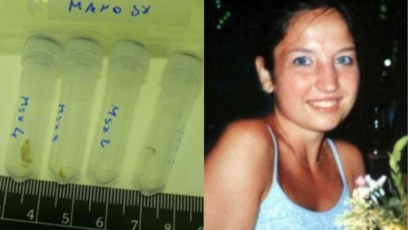 Chiara Poggi, il mistero dell’unghia: analizzata dal Ris e poi sparita nel nulla