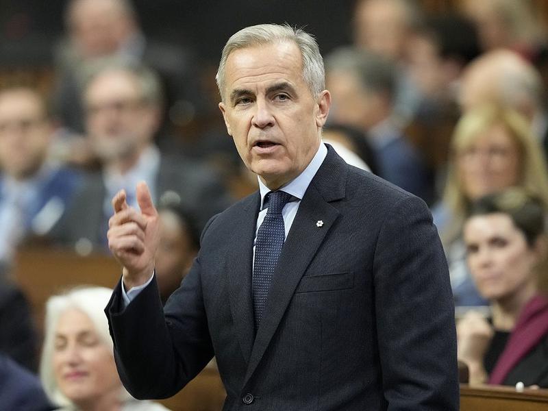 Lorne Gunter: Federal workforce reduction plans show Carney Liberals won't bring spending under control Ontario Conservative MP Vincent Ho asked a simple question in the House of Commons. He received a simple (yet horrifying) answer.