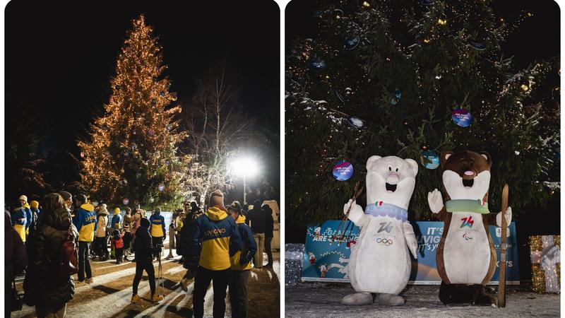 A Livigno ecco l'albero di Natale olimpico: la magia delle feste si accende con i colori di Milano-Cortina 2026