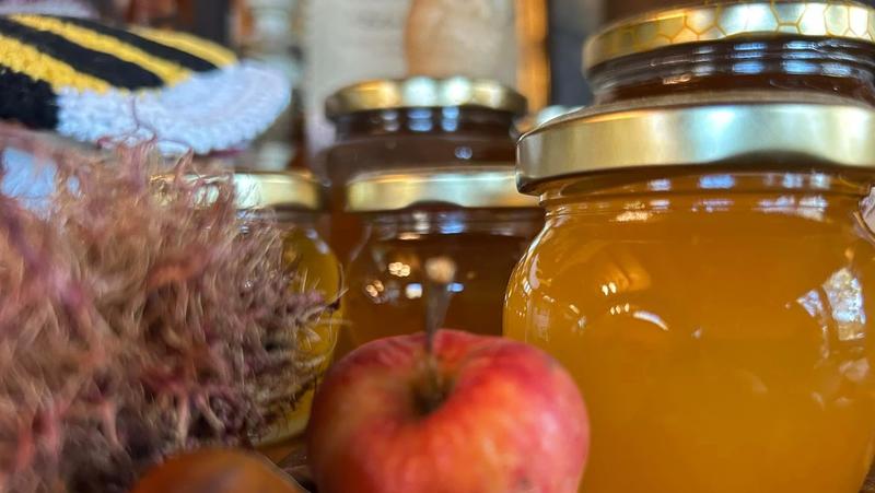 Miele, Made in Italy di difendere. Viaggio nel mondo incredibile delle api (attive anche a dicembre): dal glomere alla pena di morte Miele, Made in Italy di difendere. Viaggio nel mondo incredibile delle api (attive anche a dicembre): dal glomere alla pena di morte