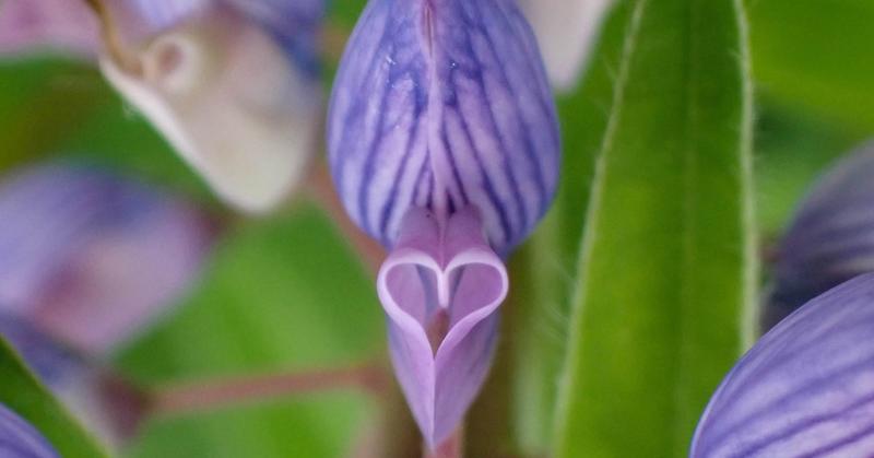 What I Learned From a Simple Act of Kindness