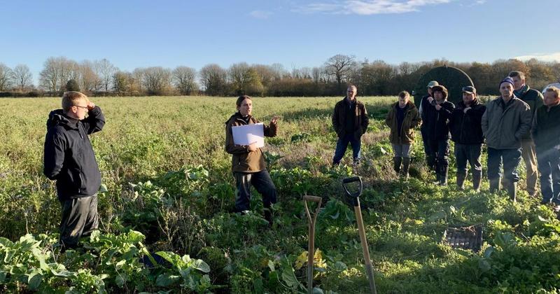 Farmers urged to dig deeper to fully understand the benefits of cover crops