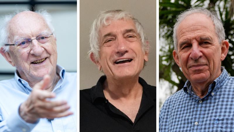 Fysikpris ett första steget mot kvantdatorer