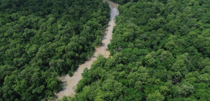 O que a Amazônia é e não é