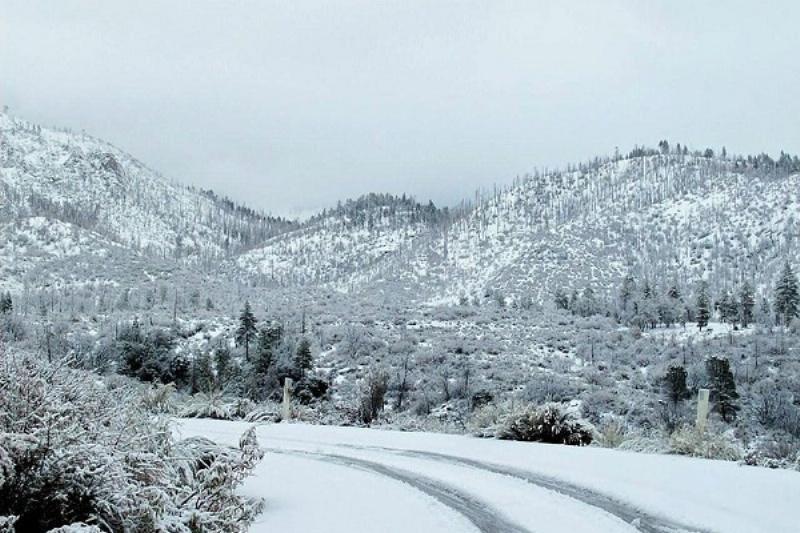 Climate Milestones Climate Milestones