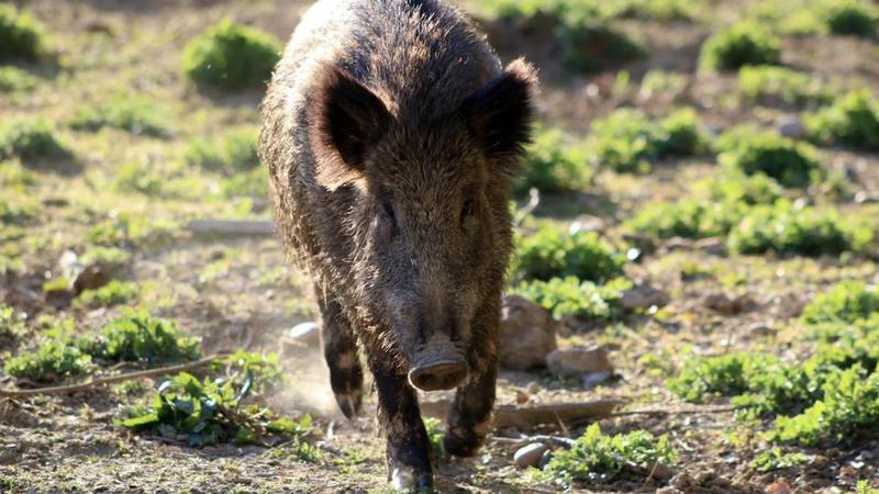 Calma, sí, pero soluciones, también
