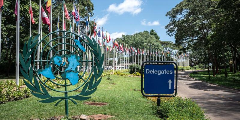 Why the UN Environment Assembly Is Essential to a Safer, More Resilient Planet