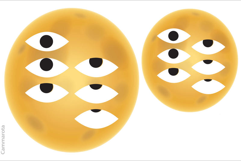 Causas sociais e políticas corrompem o caráter dos mais jovens