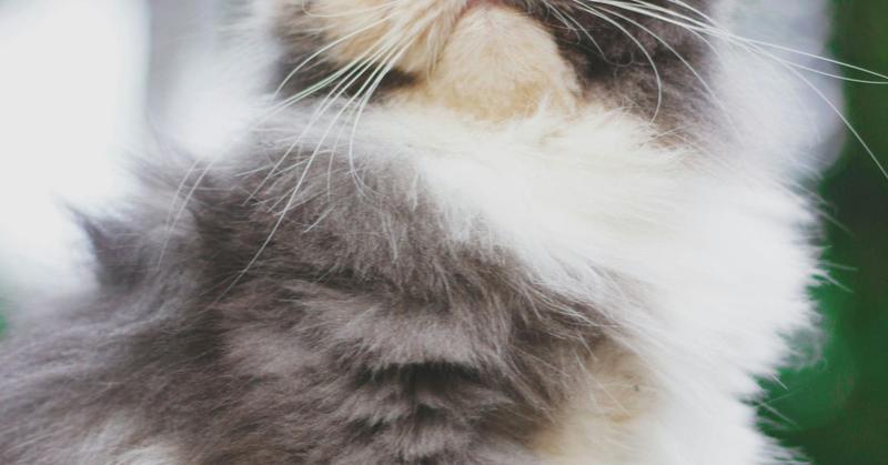 How to Play It Cool While Dating How to Play It Cool While Dating