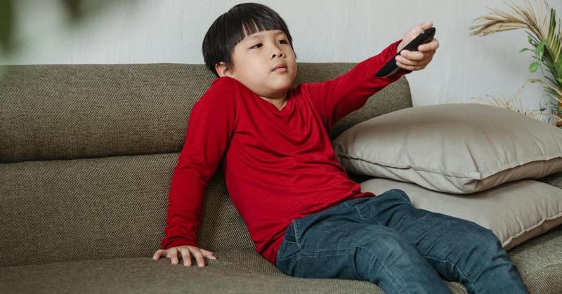 What Children Can Learn From Politics