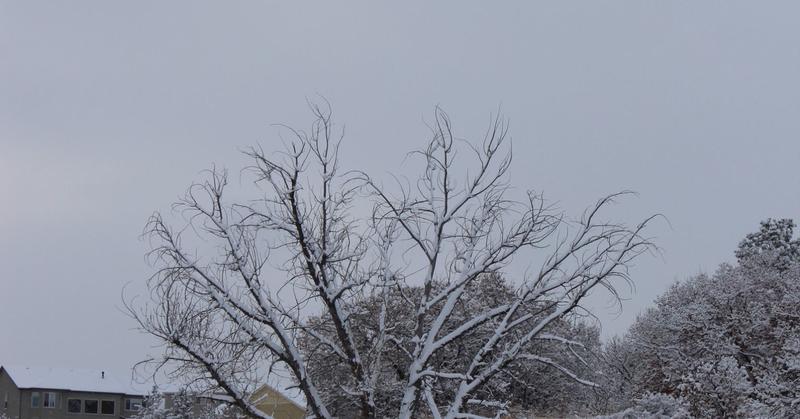 The Contingencies of Grief The Contingencies of Grief