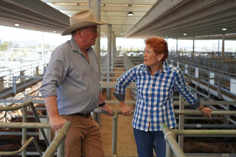 Barnaby Joyce joins One Nation to run as NSW Senate candidate in 2028 Barnaby Joyce joins One Nation to run as NSW Senate candidate in 2028