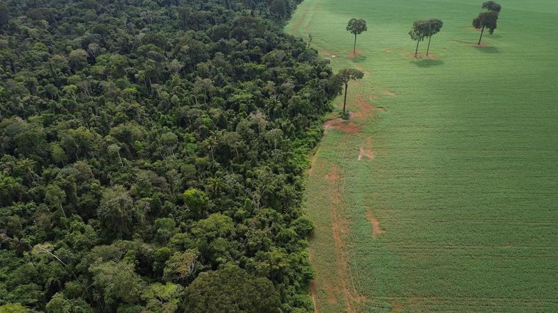 Brasil – um grande projeto de país