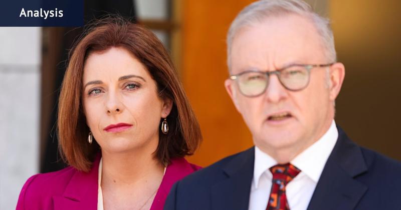 Albanese’s words from 2015 that reveal tension at the heart of Wells scandal Albanese’s words from 2015 that reveal tension at the heart of Wells scandal