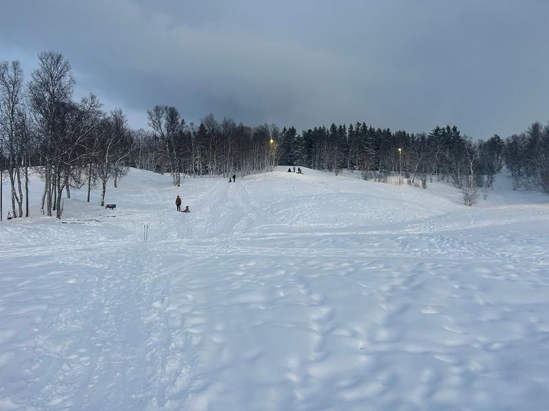 Jeg kunne ikke tro det jeg så i Tromsøs vinterparadis Jeg kunne ikke tro det jeg så i Tromsøs vinterparadis