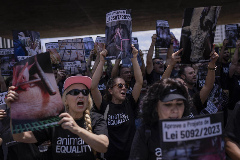 Ato na Paulista marca Dia Internacional dos Direitos Animais