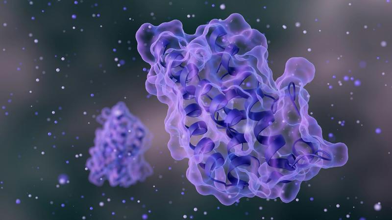 L’intelligence artificielle au service de la médecine régénérative pour concevoir de nouvelles protéines L’intelligence artificielle au service de la médecine régénérative pour concevoir de nouvelles protéines