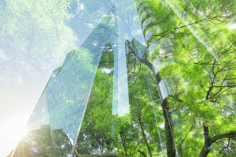 Sustainability Politics Changed, But Corporate Commitment Has Not