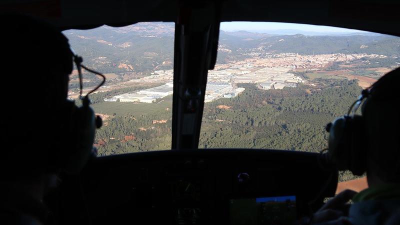 Cuatro expertos independientes y dos del IRTA investigarán el origen de la peste porcina