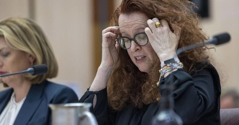 We still need a lot of sunlight under the rock of university governance We still need a lot of sunlight under the rock of university governance