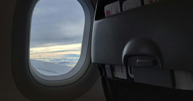 'Dear Edward': An Unlikely but Meaningful Flight Companion