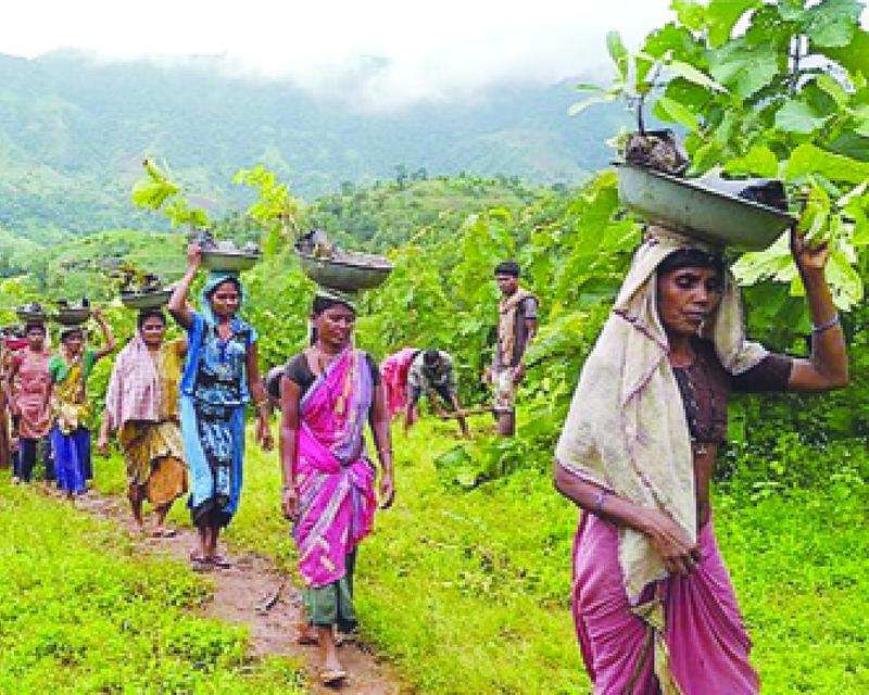 Misuse of FRA: Undermining forest rights framework Misuse of FRA: Undermining forest rights framework