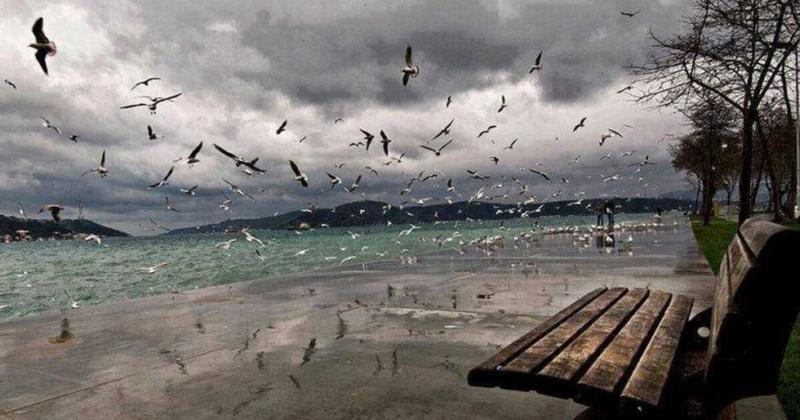 Ο θάνατος χωρίς πατρίδα: 17 χαμένες ζωές και όσα δεν θέλουμε να βλέπουμε