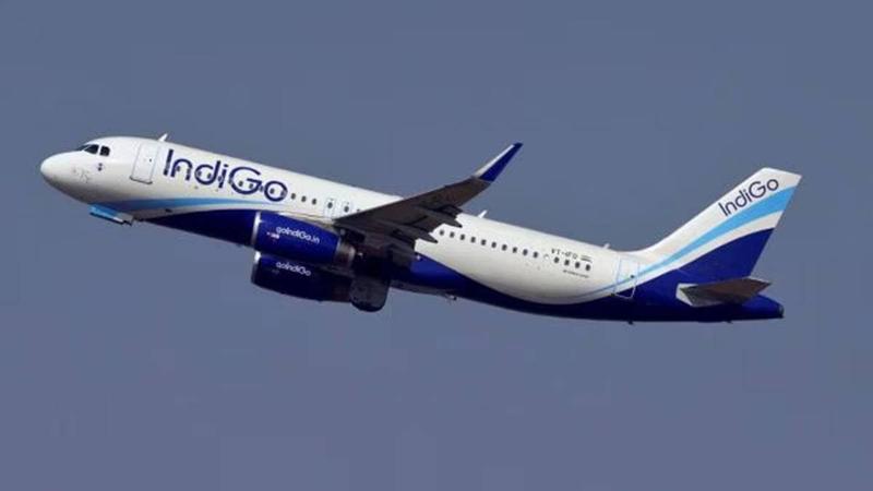 Explained: The perils of Indigo’s business model