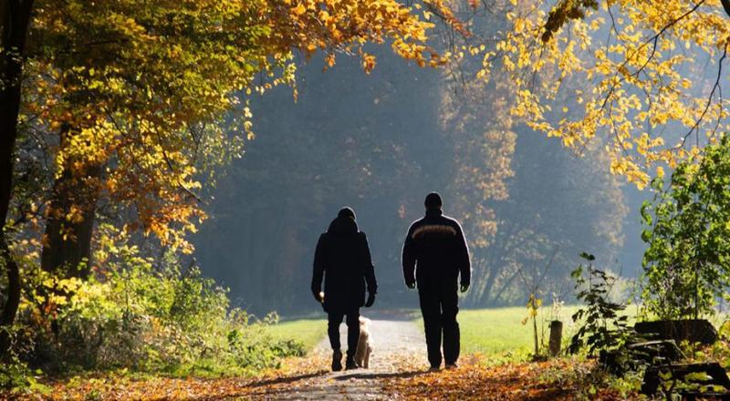 No salva pero no abandona No salva pero no abandona