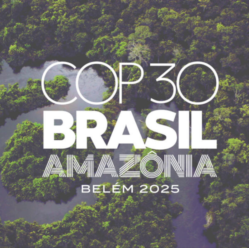COP30 and South Asia COP30 and South Asia