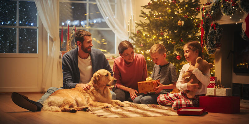 De Decemberfilter: ons leven als kerstcommercial