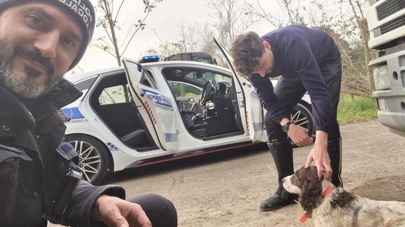 Cane trovato sulla Romea. Le indagini: non è stato lanciato