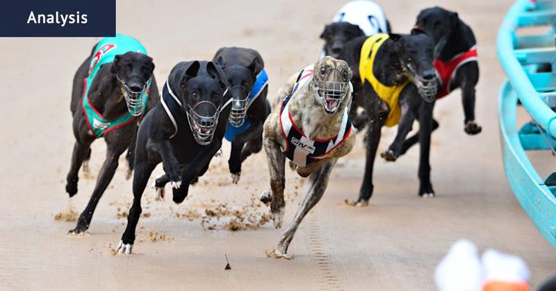 One idea would have transformed this sport. It’s been ignored