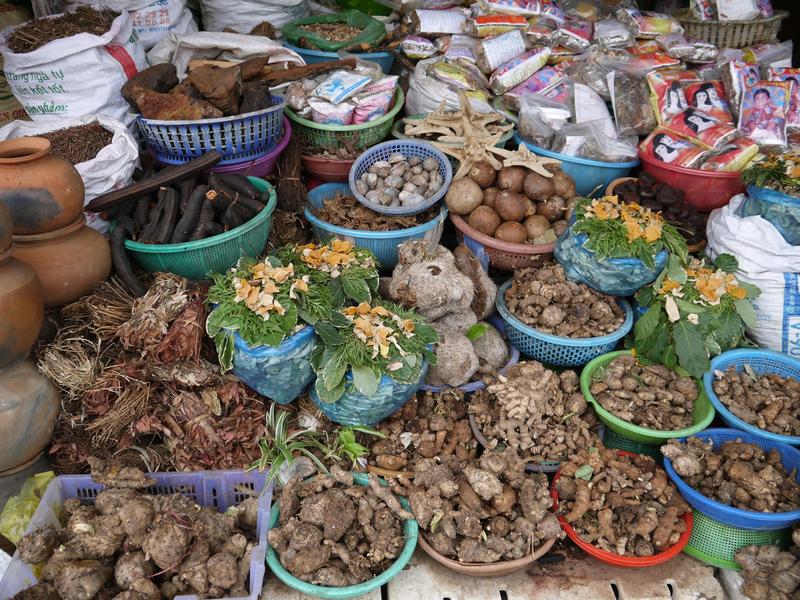 Plantes médicinales : valider la tradition, prévenir les risques Plantes médicinales : valider la tradition, prévenir les risques