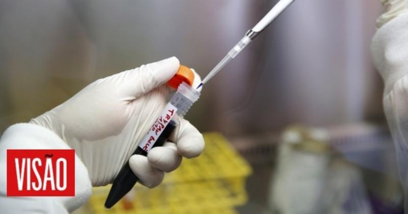 Além da sobrevida: o verdadeiro valor da inovação é a vida que o doente recupera