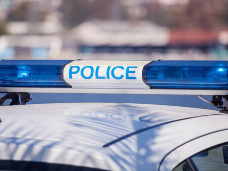 Полицейският отряд 