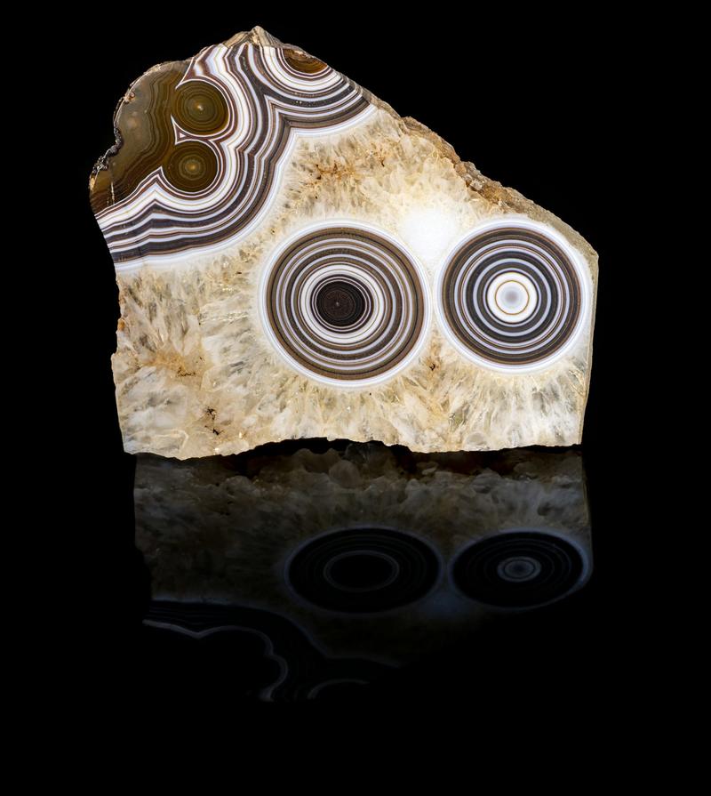 Roger Caillois, ses pierres et son écriture : de nouvelles découvertes mises en scène Roger Caillois, ses pierres et son écriture : de nouvelles découvertes mises en scène