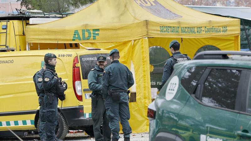 Catalunya declara la emergencia por peste porcina para agilizar las ayudas al sector