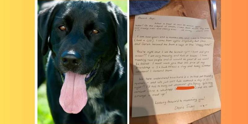 Four guys write a letter asking to walk their new neighbor's dog. The dog writes back.