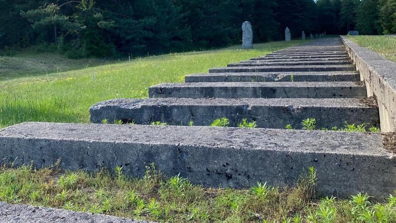 Navigating the role of bystander: What can we do?