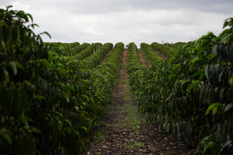 Tarifas recuam, mas política de Trump ainda é desafio para Brasil