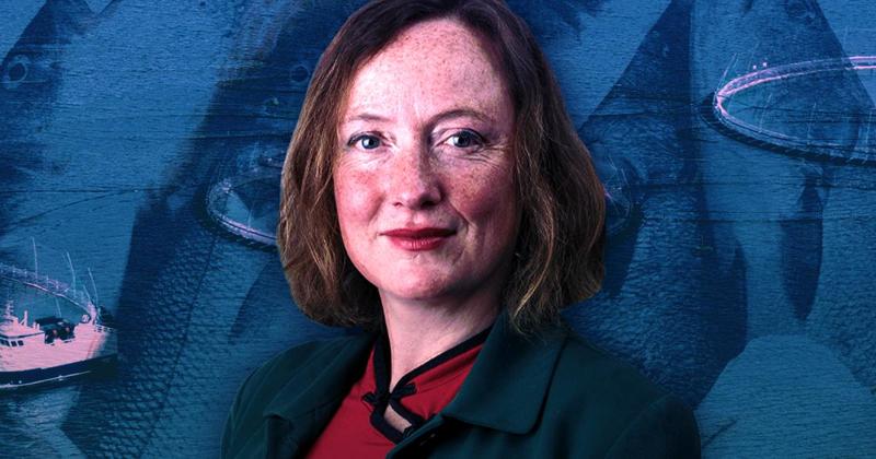 'The hidden face of Christmas.' French TV investigates Scottish salmon standards 'The hidden face of Christmas.' French TV investigates Scottish salmon standards