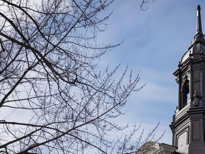 Racisme antiblanc à la Ville de Montréal?