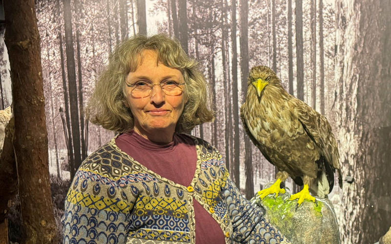 La Bøkfjorden friskne til igjen La Bøkfjorden friskne til igjen