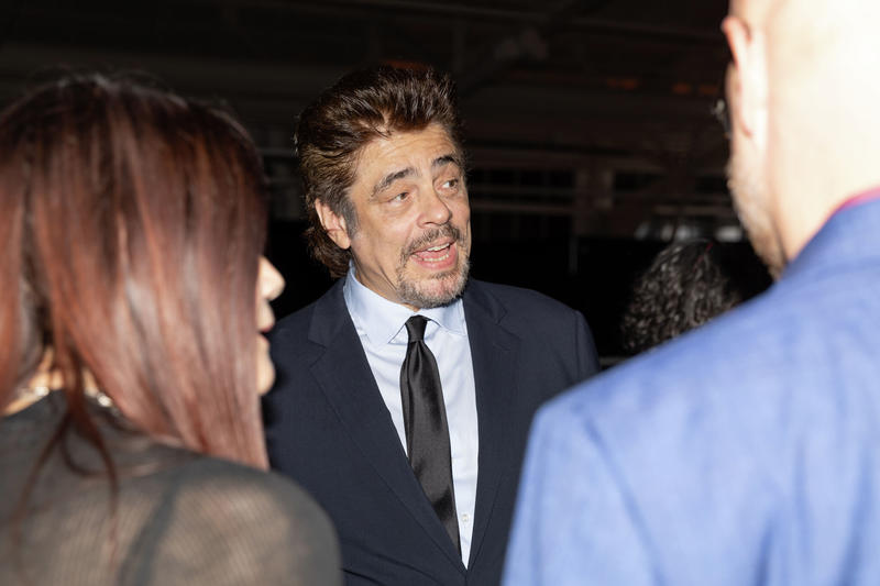 Kristen Stewart, Benicio del Toro attend swanky San Francisco event